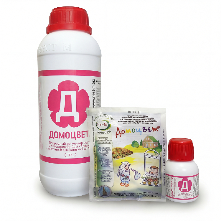 Домоцвет