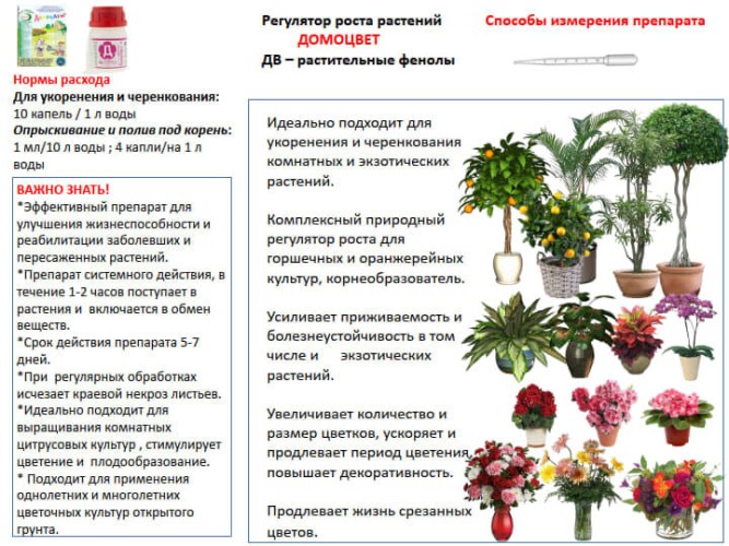 Домоцвет 1 мл