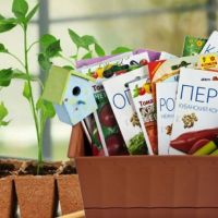 Овощные культуры