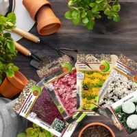 Однолетние и двулетние цветочные культуры