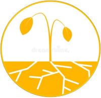 Засуха, нехватка влаги, ожоги